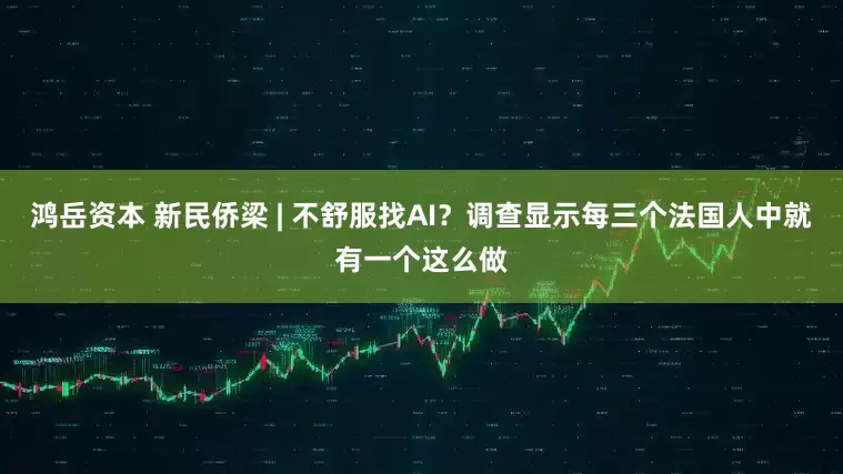 鸿岳资本 新民侨梁 | 不舒服找AI？调查显示每三个法国人中就有一个这么做