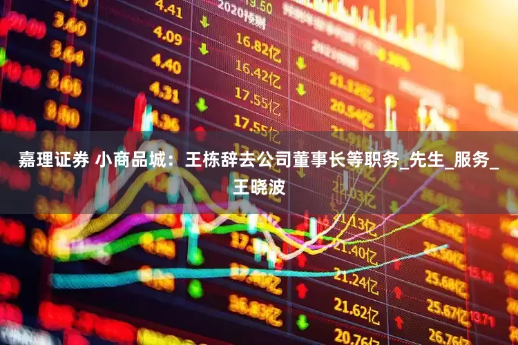 嘉理证券 小商品城：王栋辞去公司董事长等职务_先生_服务_王晓波