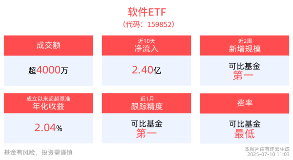 嘉多网 近10日“吸金”超2.40亿元，软件ETF(159852)近一年净值上涨超55%