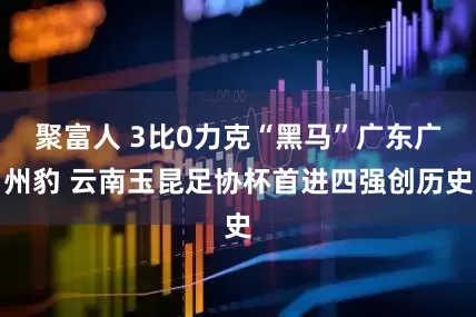 聚富人 3比0力克“黑马”广东广州豹 云南玉昆足协杯首进四强创历史